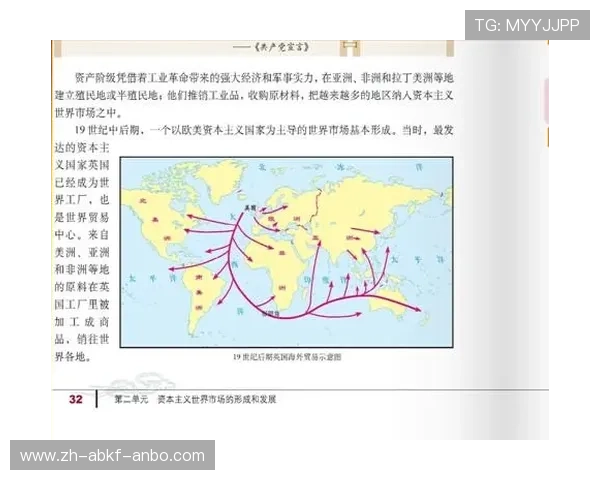 中国资本购买英超球队的案例与影响分析