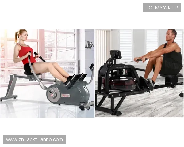 高能训练蜂巢系统大黄蜂多维度健身器械解析