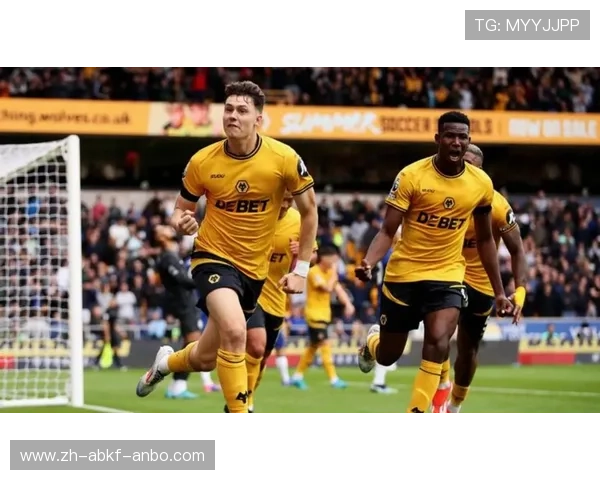 英超降级球队补助：英超联赛中降级球队的财政补助与支持