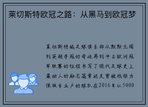 莱切斯特欧冠之路：从黑马到欧冠梦